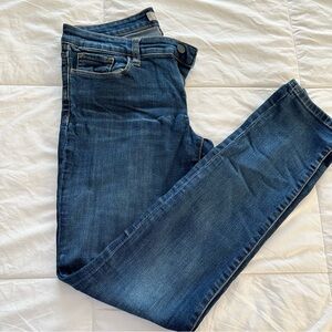 Banana Republic Factory Indigo Skinny Fit Jeans